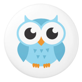 Blue owl door knob