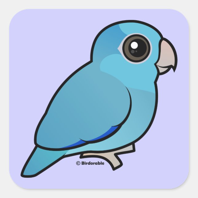 Blue Pacific Parrotlet Square Sticker (Front)