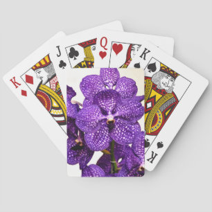 Blue Pakchong band Playing Cards