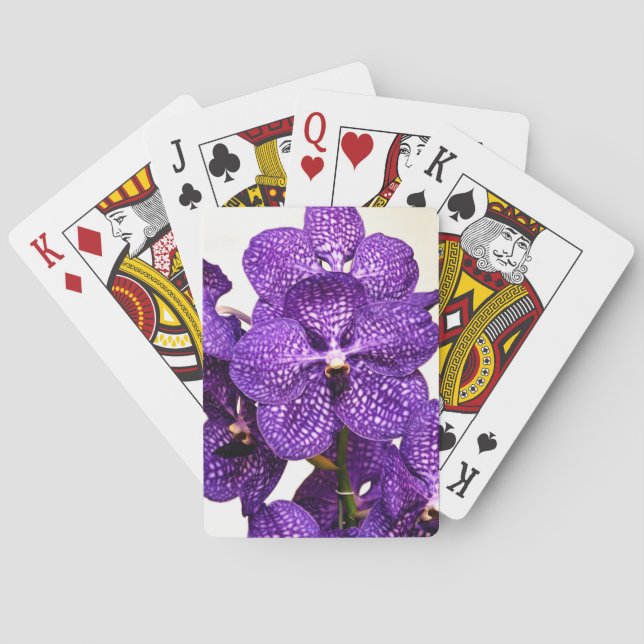 Blue Pakchong band Playing Cards (Back)
