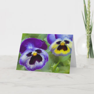 Blue Pansies Card