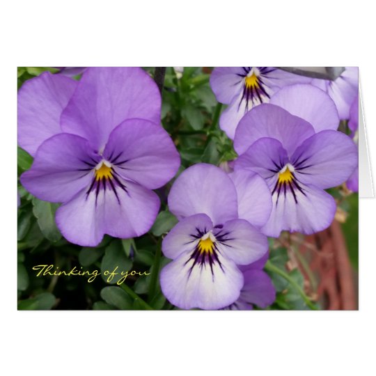 Blue Pansies/Violets Thinking of you Card