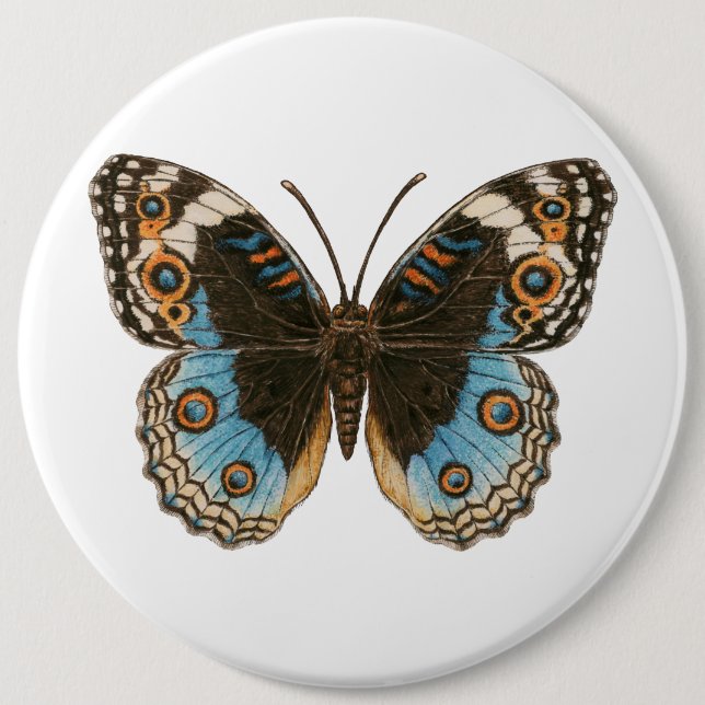 Blue Pansy Butterfly 6 Inch Round Button (Front)