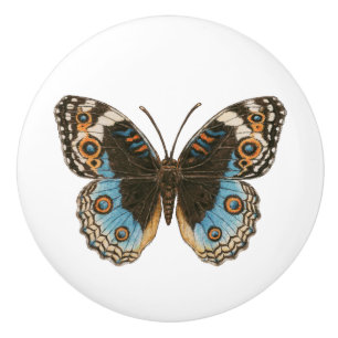Blue Pansy Butterfly Ceramic Knob