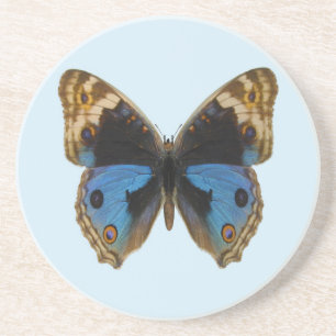 Blue Pansy Butterfly Coaster
