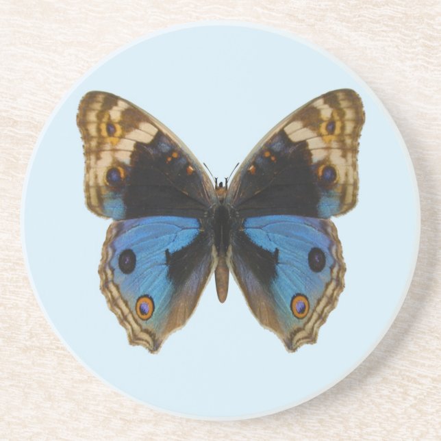 Blue Pansy Butterfly Coaster (Front)