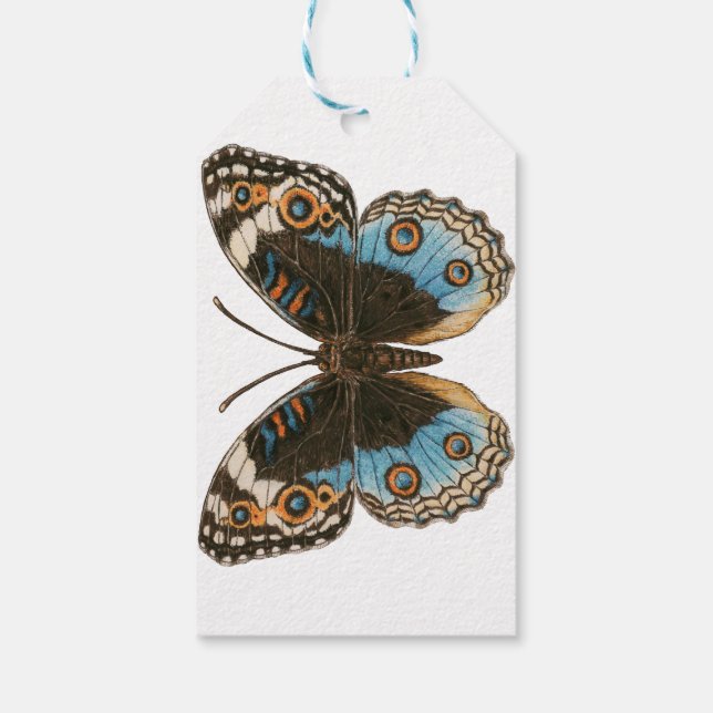 Blue Pansy Butterfly Gift Tags (Back)