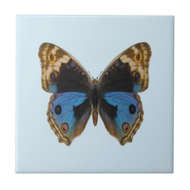 Blue Pansy Butterfly Tile (Front)