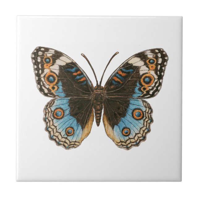 Blue Pansy Butterfly Tile (Front)