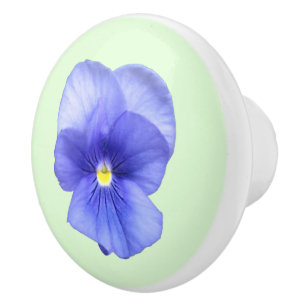 Blue Pansy on Mint - Drawer Pull