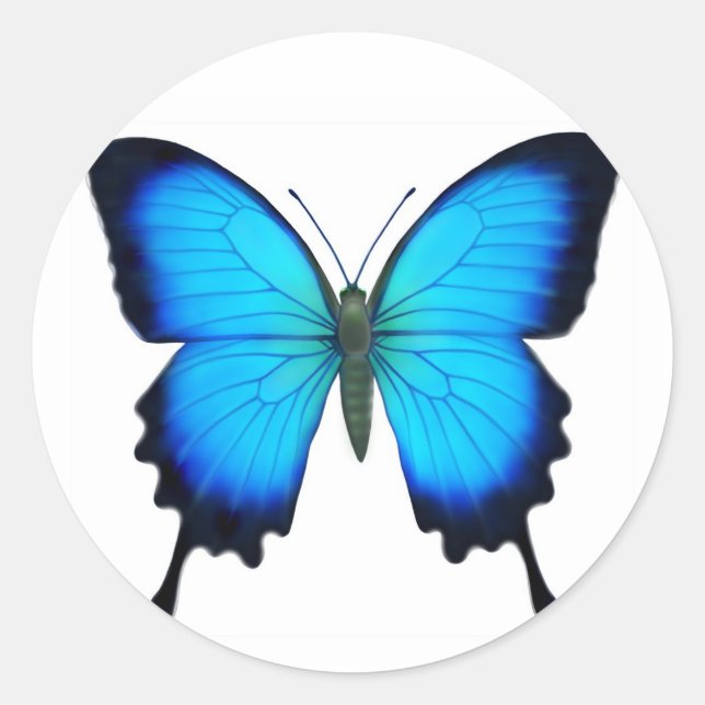 Blue Papilio Ulysses Butterfly Classic Round Sticker (Front)