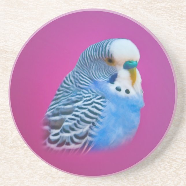 Blue Parakeet Coaster (Front)