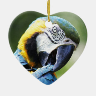 Blue Parrot Ceramic Ornament