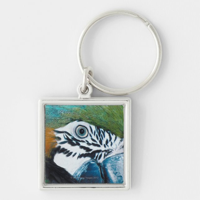 Blue Parrot Keychain (Front)
