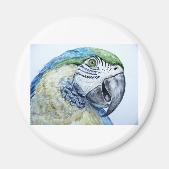blue parrot magnet (Front)