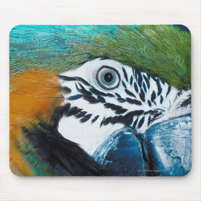 Blue Parrot Mouse Pad (Front)