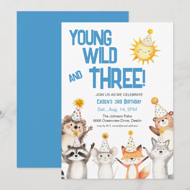 Blue Party Forest Animals Party Hats 3rd Birthday Invitation (Front/Back)