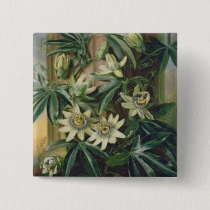 Blue Passion Flower for the 'Temple of Flora' by R 2 Inch Square Button