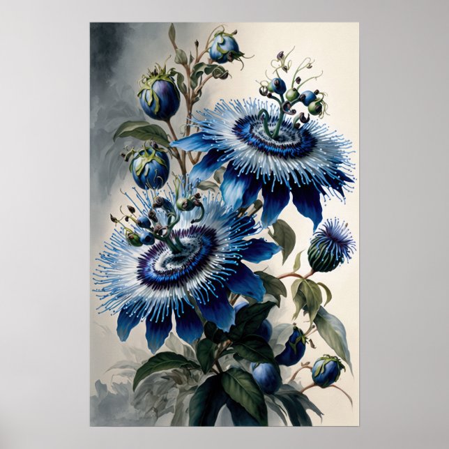 Blue Passion Flowers Art Imprimer Poster (Devant)