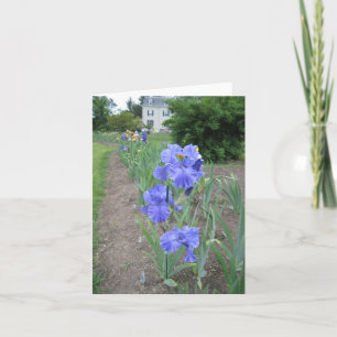 blue path small blank note card