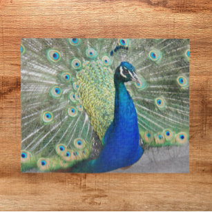 Blue Peacock Fantail Feathers Photo Jigsaw Puzzle