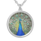 Blue Peacock Feather Plumage