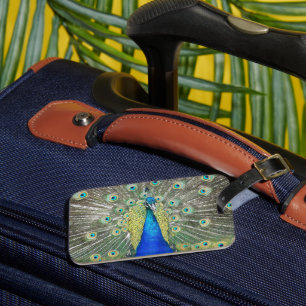 Blue Peacock Feather Plumage Luggage Tag