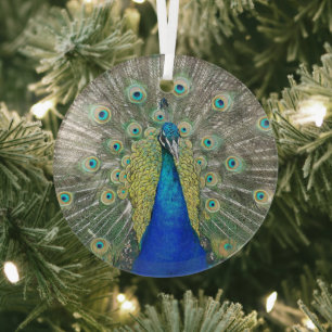Blue Peacock Feather Plumage Photo Glass Ornament