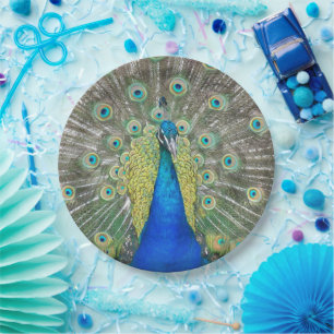 Blue Peacock Feather Plumage Photo Paper Plate