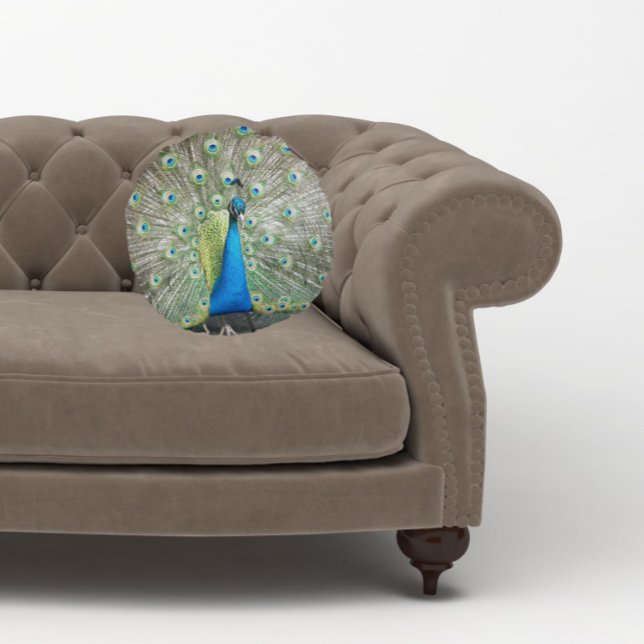 Blue Peacock Feather Plumage Round Pillow (In Situ Sofa)