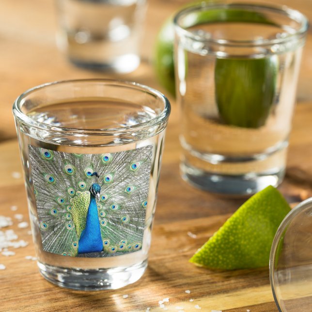 Blue Peacock Feather Plumage Shot Glass (In Situ)