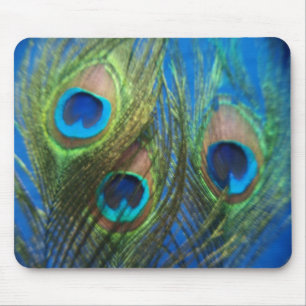 Blue Peacock Feathers Mousepad