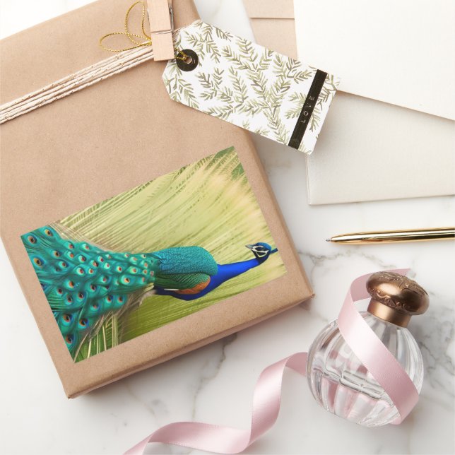Blue Peacock in grass Sticker (Gifting)