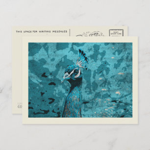 Blue Peacock portrait, peafowl male Postcard