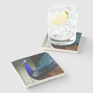 Blue Peacock Stone Coaster