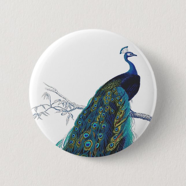 Blue Peacock with beautiful tail feathers 2 Inch Round Button (Front)