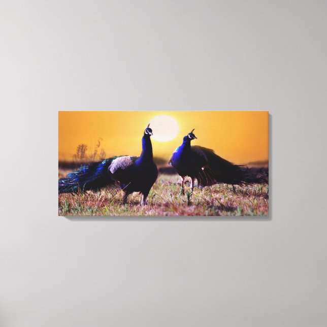 Blue peacocks canvas print (Front)
