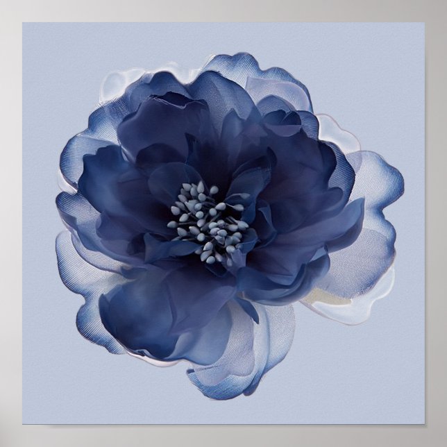 BLUE PEONY FLOWER   POSTER (Front)