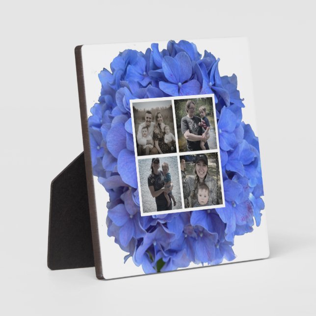 Blue periwinkle elegant floral hydrangeas  plaque (Front)
