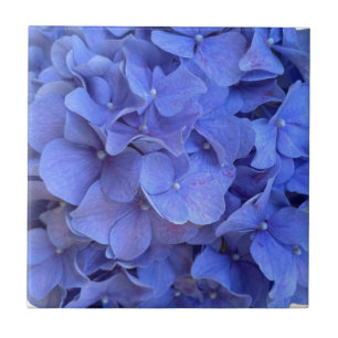 Blue periwinkle elegant floral hydrangeas  tile