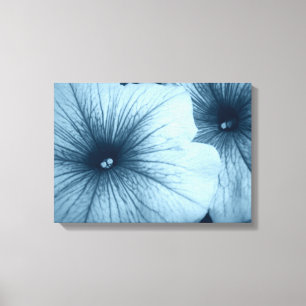Blue Petunias Canvas Print