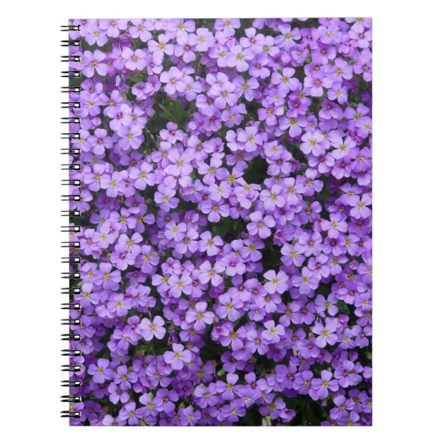 Blue Pillow Flowers Notebook (Front)