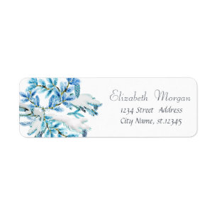 Blue Pine Tree Branches, Holiday,Christmas
