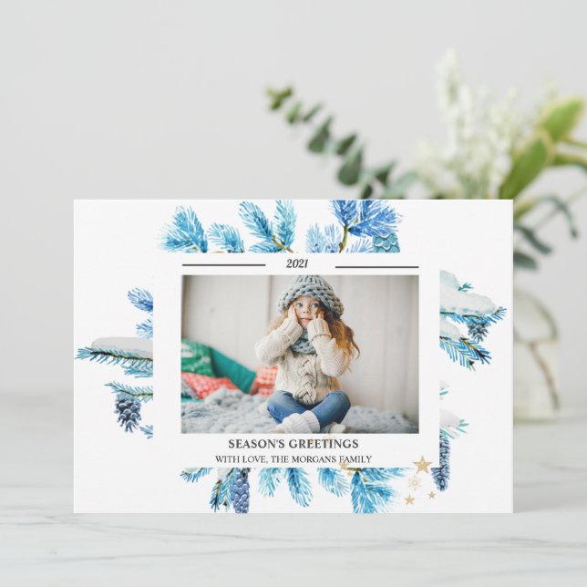 Blue Pine Tree Branches Photo SEASON'S GREETINGS (Standing Front)