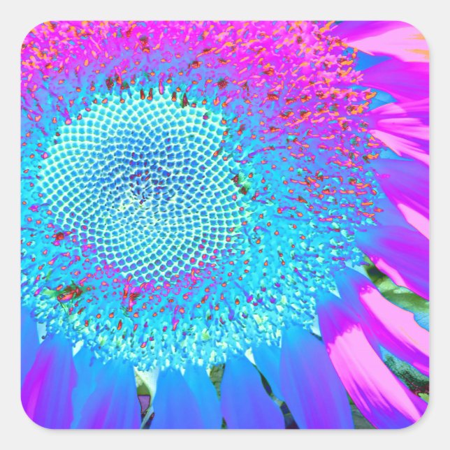 Blue pink funky retro sunflower photo square sticker (Front)
