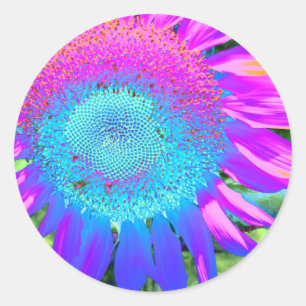 Blue pink retro funky sunflower photo classic round sticker