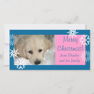 Blue Pink Snowflakes Dog Christmas Photo Card