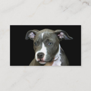Blue Pitbull Puppy business cards
