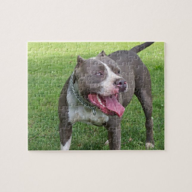 BLUE PITBULL PUZZLE (Horizontal)