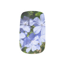 Blue plumbago flowers Nails